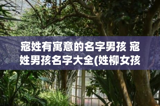 寇姓有寓意的名字男孩 寇姓男孩名字大全(姓柳女孩有寓意的名字大全)