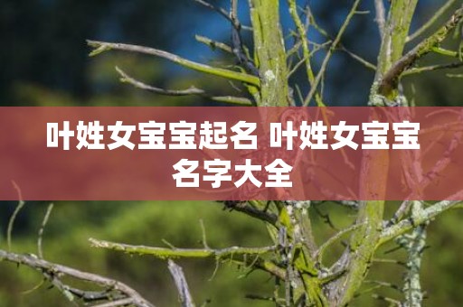 叶姓女宝宝起名 叶姓女宝宝名字大全