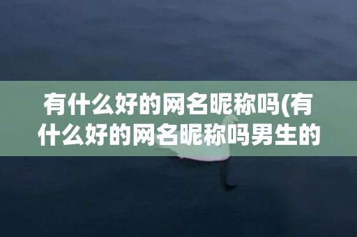 有什么好的网名昵称吗(有什么好的网名昵称吗男生的)