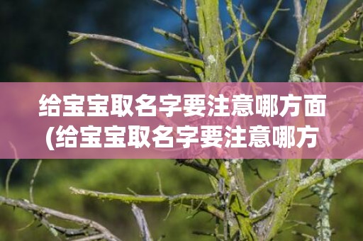 给宝宝取名字要注意哪方面(给宝宝取名字要注意哪方面)