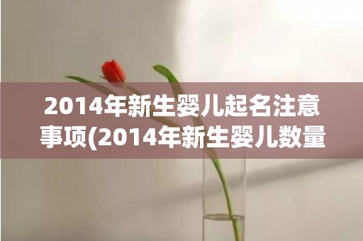 2014年新生婴儿起名注意事项(2014年新生婴儿数量)