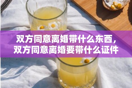 双方同意离婚带什么东西，双方同意离婚要带什么证件