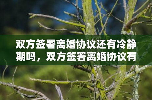 双方签署离婚协议还有冷静期吗，双方签署离婚协议有效吗