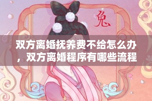 双方离婚抚养费不给怎么办，双方离婚程序有哪些流程呢