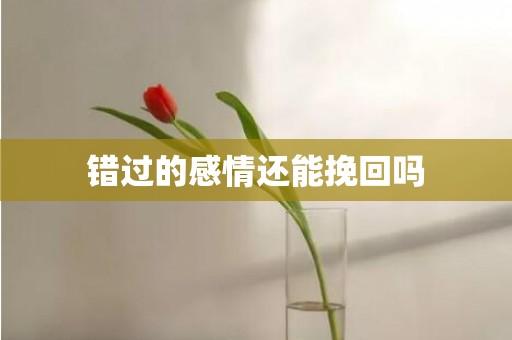 错过的感情还能挽回吗