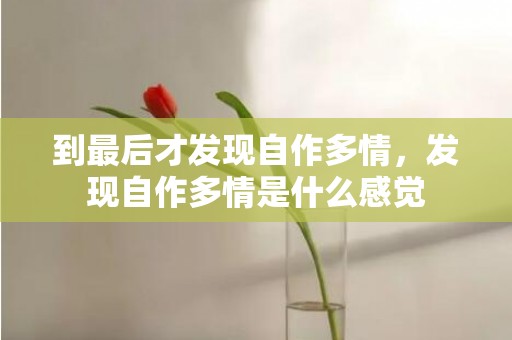 到最后才发现自作多情，发现自作多情是什么感觉