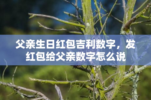 父亲生日红包吉利数字，发红包给父亲数字怎么说