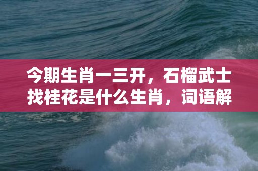 今期生肖一三开，石榴武士找桂花是什么生肖，词语解释落实