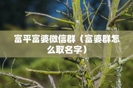 富平富婆微信群（富婆群怎么取名字）