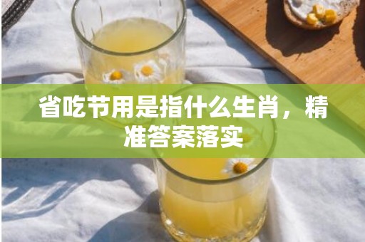 省吃节用是指什么生肖，精准答案落实