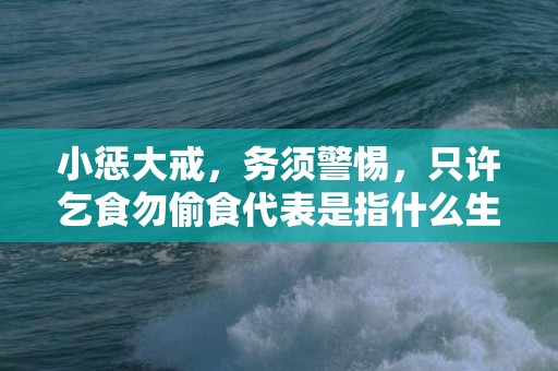 小惩大戒，务须警惕，只许乞食勿偷食代表是指什么生肖，精准解答落实