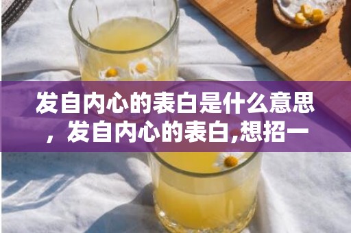 发自内心的表白是什么意思，发自内心的表白,想招一个