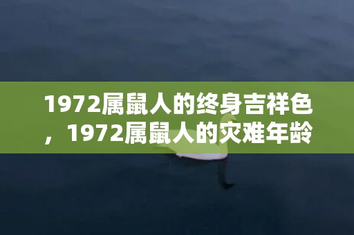 1972属鼠人的终身吉祥色，1972属鼠人的灾难年龄 31岁事业下滑