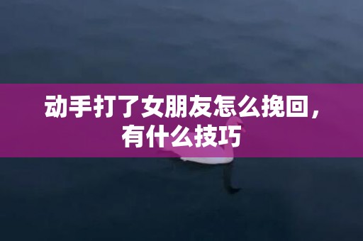 动手打了女朋友怎么挽回，有什么技巧