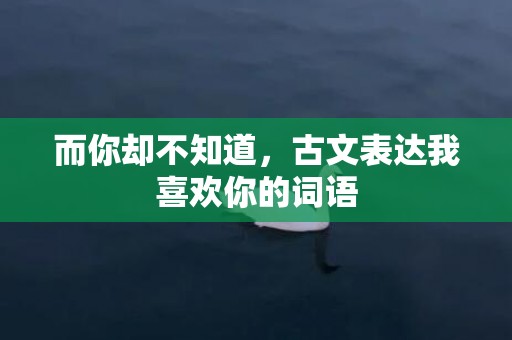 而你却不知道，古文表达我喜欢你的词语