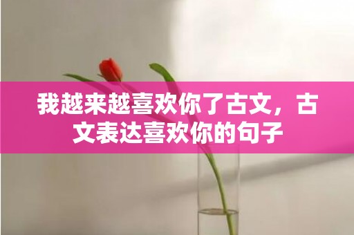 我越来越喜欢你了古文，古文表达喜欢你的句子