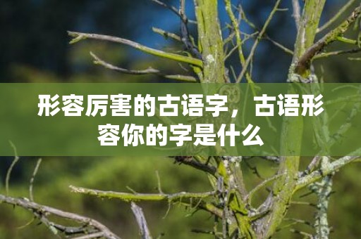 形容厉害的古语字，古语形容你的字是什么