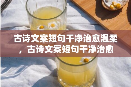 古诗文案短句干净治愈温柔，古诗文案短句干净治愈