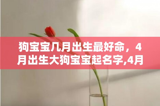 狗宝宝几月出生最好命，4月出生大狗宝宝起名字,4月出生大狗宝宝起名字, 一生幸福顺利 别具匠心的名字为您的宠物增添吉祥之气，让其在未来的生命旅程中飞黄腾达，一路顺风顺水。