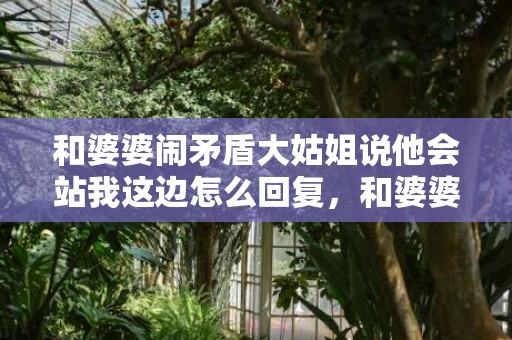 和婆婆闹矛盾大姑姐说他会站我这边怎么回复，和婆婆闹矛盾大姑子来管