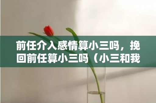 前任介入感情算小三吗，挽回前任算小三吗（小三和我分手了还需要挽留吗）