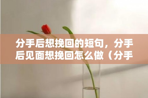 分手后想挽回的短句，分手后见面想挽回怎么做（分手后想挽回该怎么说）