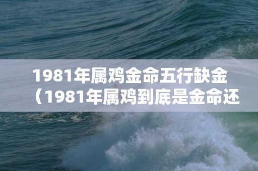 1981年属鸡金命五行缺金（1981年属鸡到底是金命还是木命1981年属鸡的是什么命金木...）