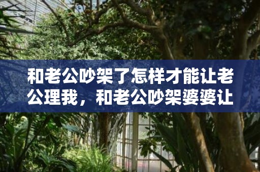 和老公吵架了怎样才能让老公理我，和老公吵架婆婆让我忍让她