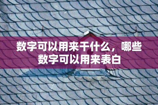 数字可以用来干什么，哪些数字可以用来表白