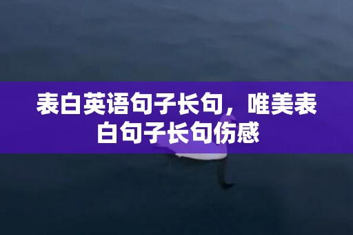 表白英语句子长句，唯美表白句子长句伤感