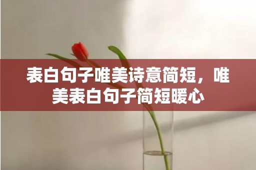 表白句子唯美诗意简短，唯美表白句子简短暖心