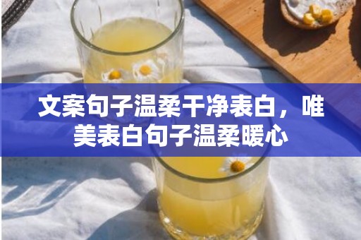 文案句子温柔干净表白，唯美表白句子温柔暖心