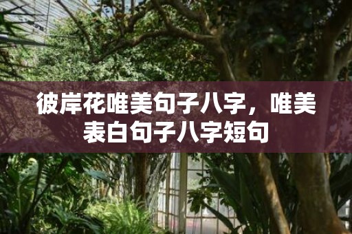 彼岸花唯美句子八字，唯美表白句子八字短句