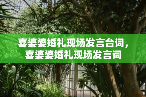 喜婆婆婚礼现场发言台词，喜婆婆婚礼现场发言词