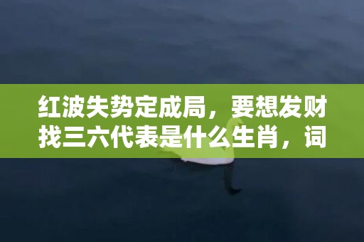 红波失势定成局，要想发财找三六代表是什么生肖，词语解释落实