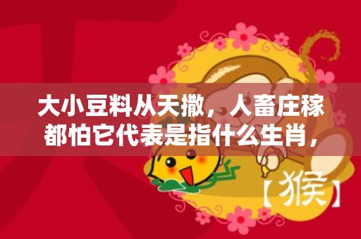 大小豆料从天撒，人畜庄稼都怕它代表是指什么生肖，词语精准落实