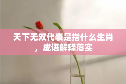 天下无双代表是指什么生肖，成语解释落实