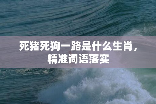 死猪死狗一路是什么生肖，精准词语落实