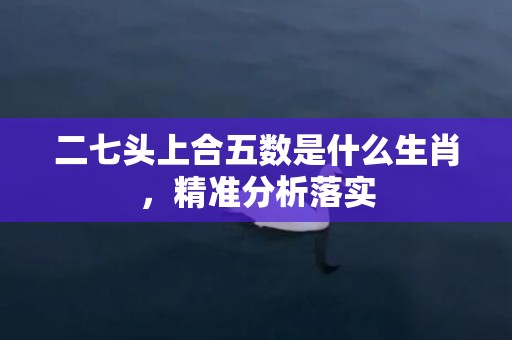 二七头上合五数是什么生肖，精准分析落实