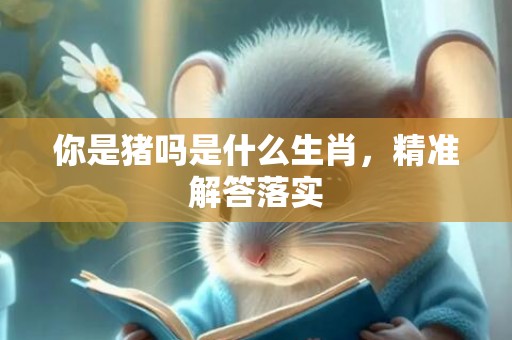 你是猪吗是什么生肖，精准解答落实