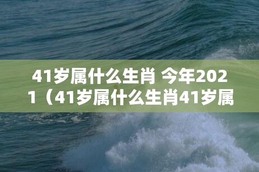 41岁属什么生肖 今年2021（41岁属什么生肖41岁属什么生肖今年多大）