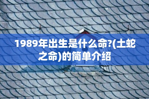 1989年出生是什么命?(土蛇之命)的简单介绍