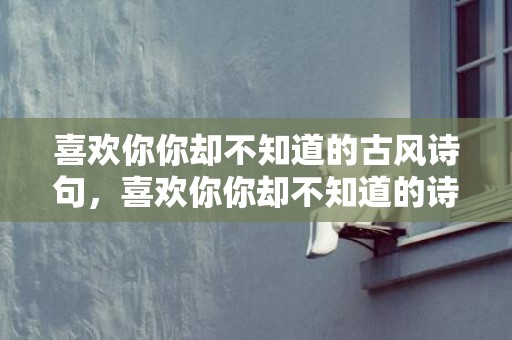 喜欢你你却不知道的古风诗句，喜欢你你却不知道的诗句