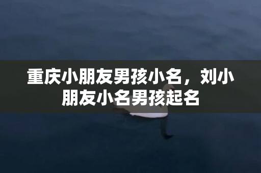 重庆小朋友男孩小名，刘小朋友小名男孩起名