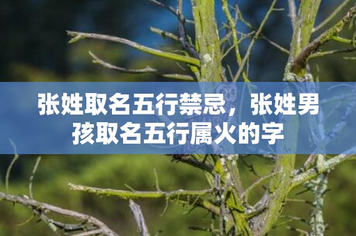 张姓取名五行禁忌，张姓男孩取名五行属火的字