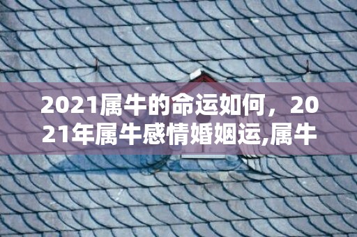 2021属牛的命运如何，2021年属牛感情婚姻运,属牛结婚好不好