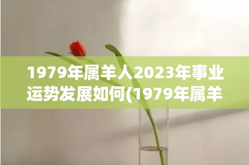 1979年属羊人2023年事业运势发展如何(1979年属羊人2024年运势及运程男)