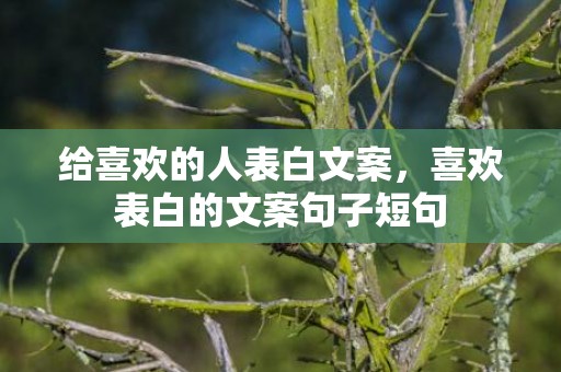 给喜欢的人表白文案，喜欢表白的文案句子短句