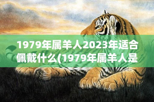 1979年属羊人2023年适合佩戴什么(1979年属羊人是什么命)