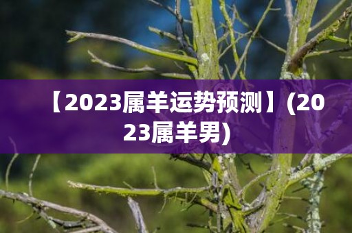 【2023属羊运势预测】(2023属羊男)